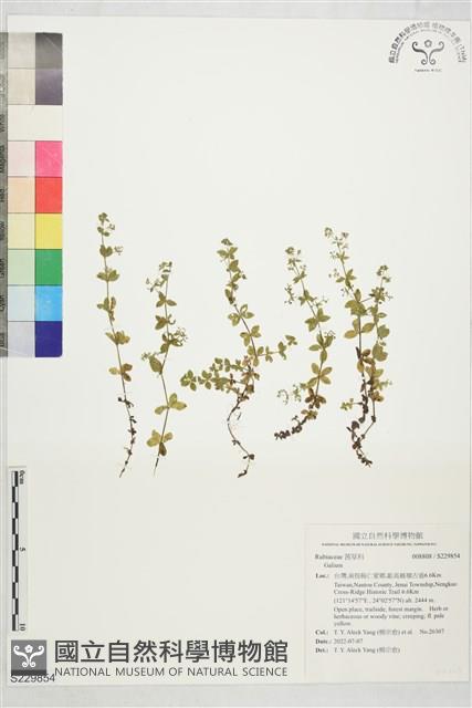 登錄號:S229854藏品圖，第1張