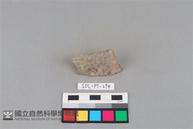 陶片藏品圖，第1張