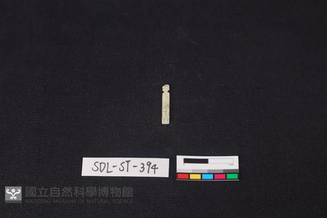 玉飾藏品圖，第1張