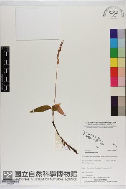 登錄號:S199994藏品圖，第1張