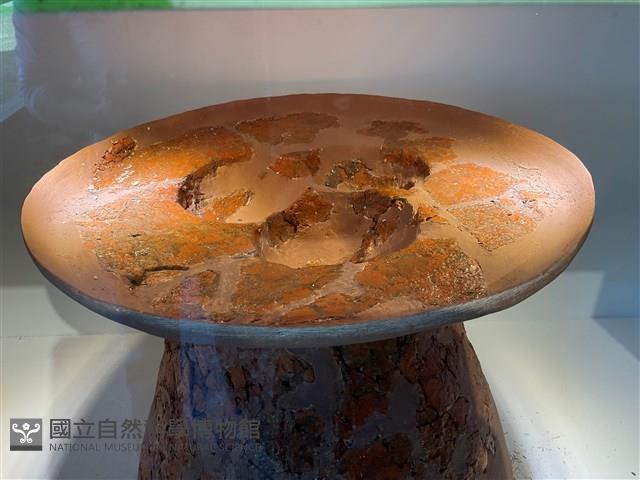 連杯形器藏品圖，第1張