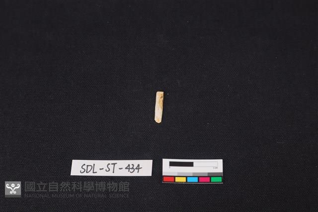 玉飾藏品圖，第1張