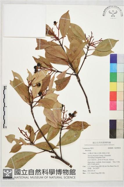 登錄號:S229834藏品圖，第1張