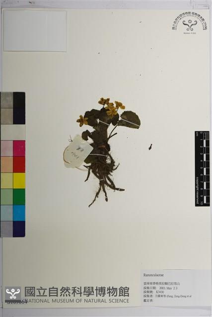 登錄號:S169664藏品圖，第1張