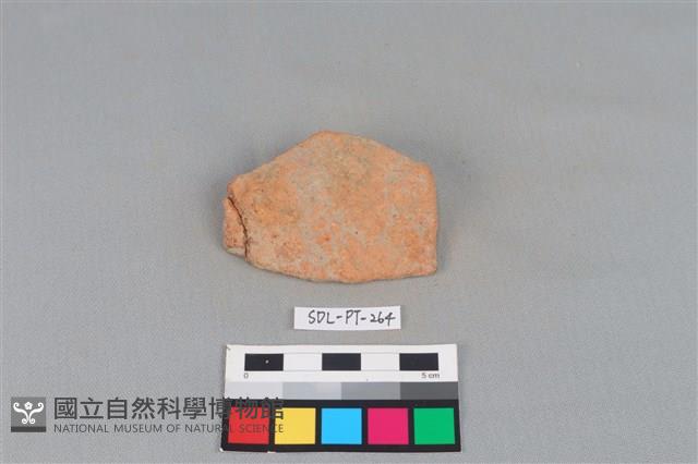 陶片藏品圖，第1張