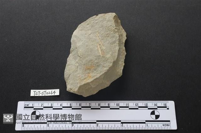 斧鋤形器藏品圖，第1張
