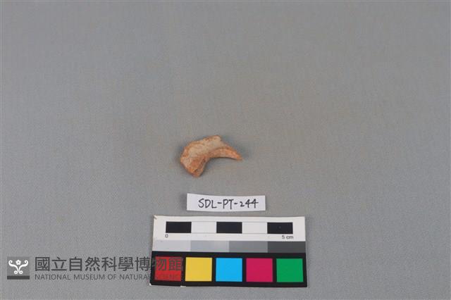 陶片藏品圖，第1張