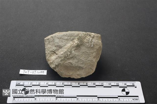 斧鋤形器藏品圖，第1張