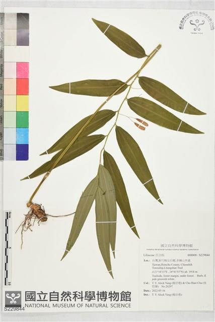 登錄號:S229844藏品圖，第1張