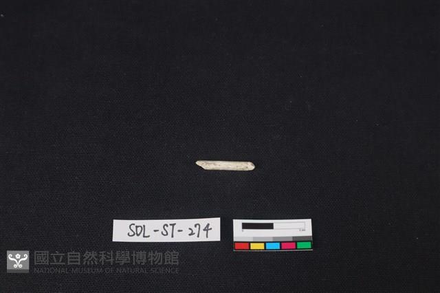 玉簪藏品圖，第1張