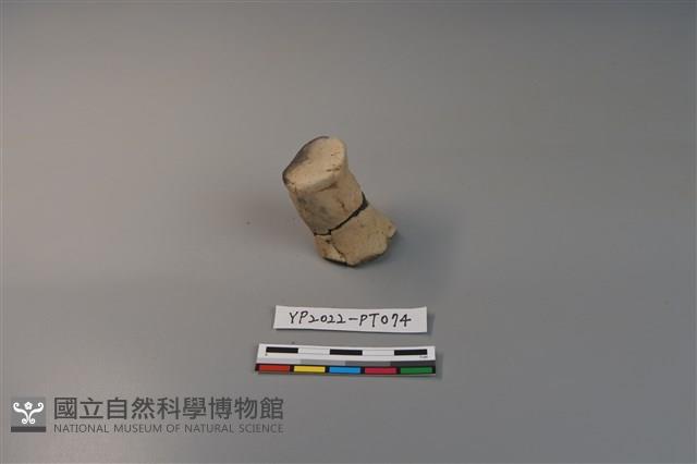 陶鈕藏品圖，第1張