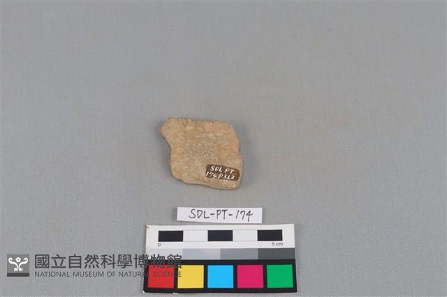 連杯形器藏品圖，第1張