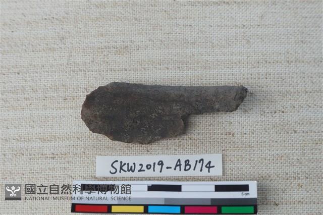 獸骨藏品圖，第1張