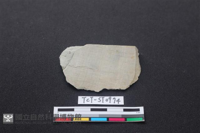 錛鑿形器藏品圖，第1張