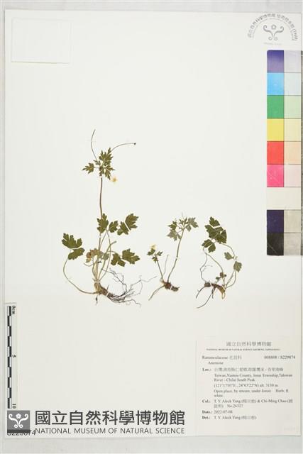 登錄號:S229874藏品圖，第1張