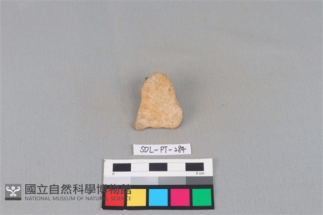 陶片藏品圖，第1張