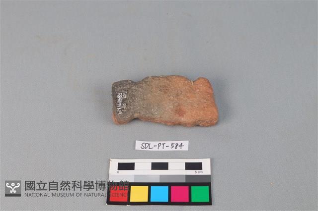 陶網墜藏品圖，第1張