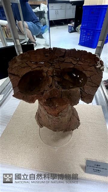 連杯形器藏品圖，第1張