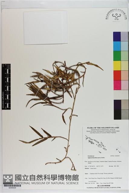 登錄號:S200029藏品圖，第1張