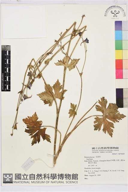 登錄號:S074029藏品圖，第1張