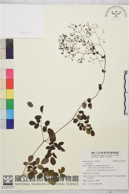 登錄號:S122229藏品圖，第1張