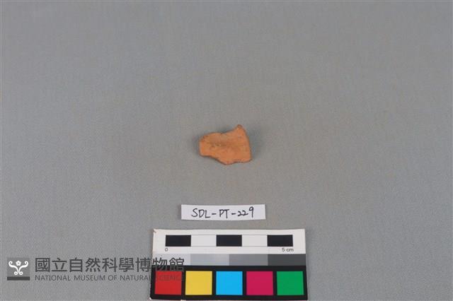 陶片藏品圖，第1張