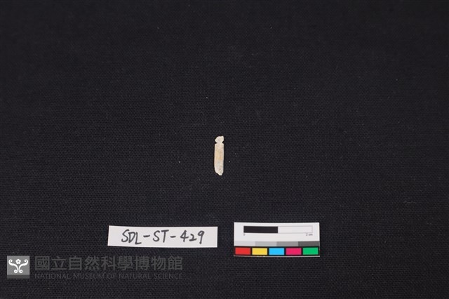 玉飾藏品圖，第1張