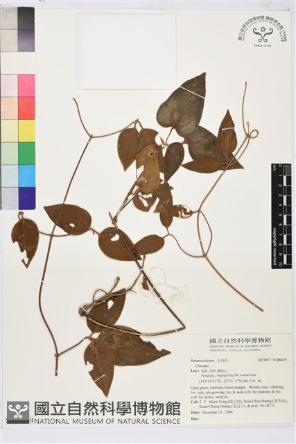 登錄號:S168429藏品圖，第1張