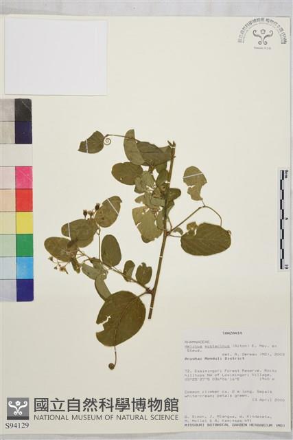 登錄號:S094129藏品圖，第1張