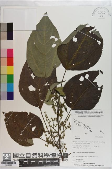 登錄號:S200829藏品圖，第1張