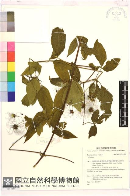 登錄號:S211829藏品圖，第1張