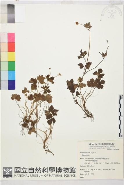 登錄號:S049609藏品圖，第1張