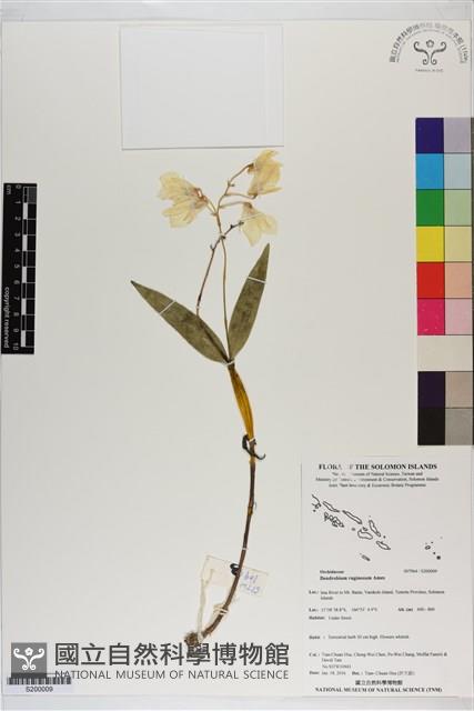 登錄號:S200009藏品圖，第1張