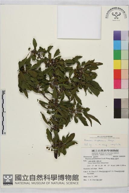 Accession Number:S088209 Collection Image