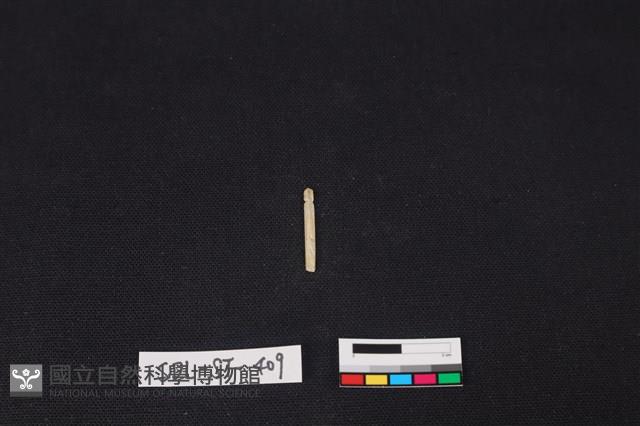 玉飾藏品圖，第1張