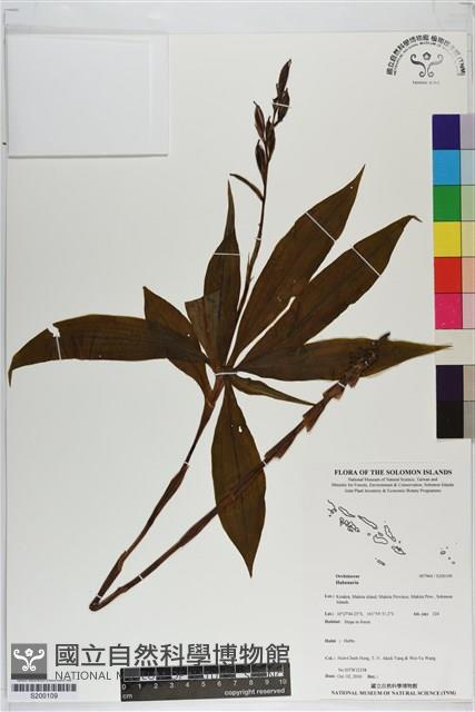 登錄號:S200109藏品圖，第1張