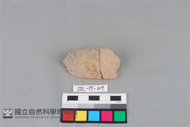 陶片藏品圖，第1張