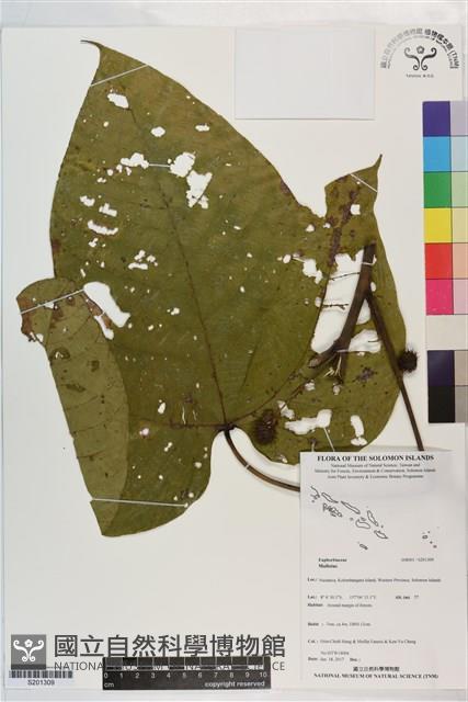 登錄號:S201309藏品圖，第1張