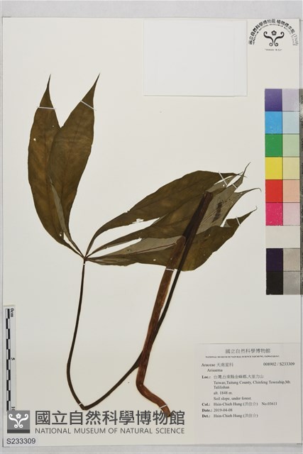 登錄號:S233309藏品圖，第1張