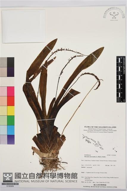 登錄號:S195909藏品圖，第1張