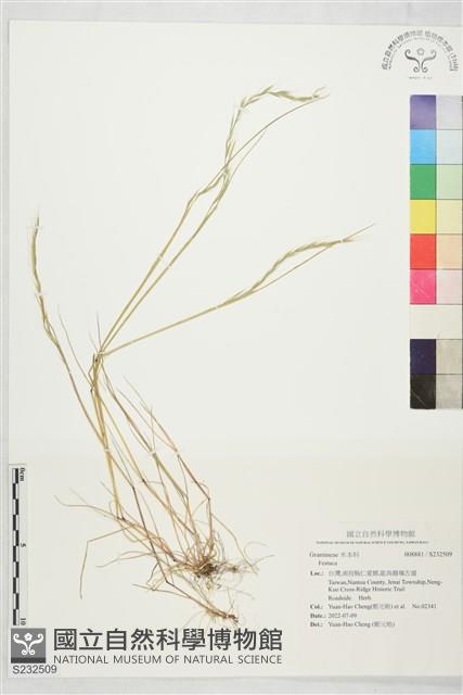 登錄號:S232509藏品圖，第1張