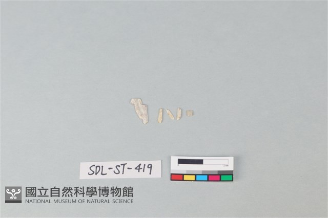 玉飾藏品圖，第1張