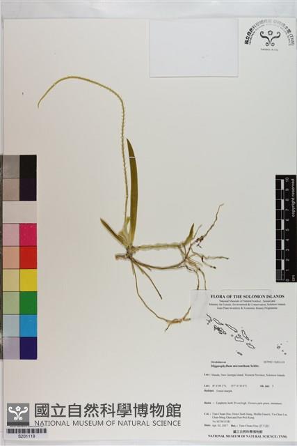 登錄號:S201119藏品圖，第1張