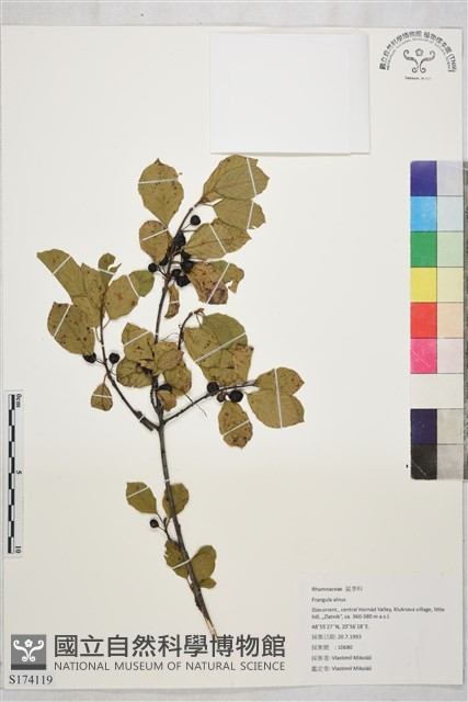 登錄號:S174119藏品圖，第1張