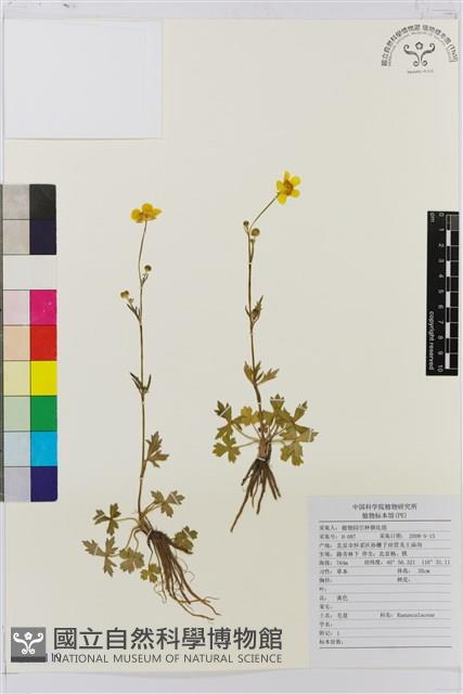 登錄號:S143119藏品圖，第1張