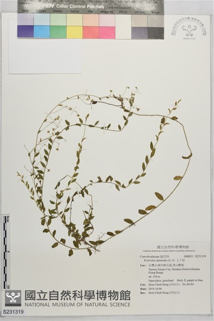 土丁桂藏品圖，第1張