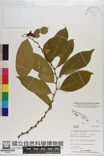 登錄號:S200819藏品圖，第1張