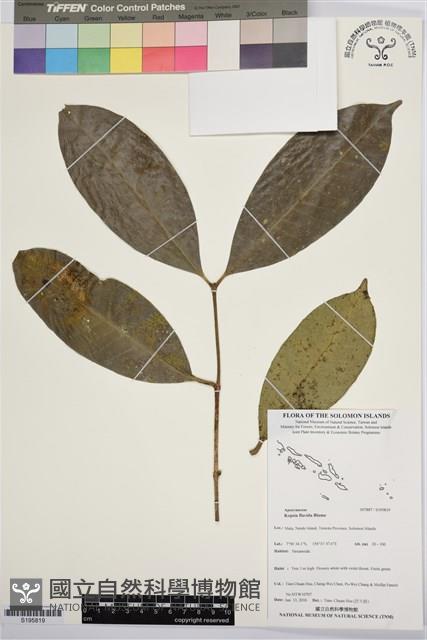 登錄號:S195819藏品圖，第1張