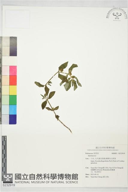 登錄號:S232919藏品圖，第1張