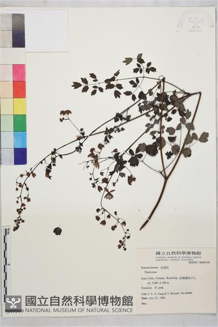 登錄號:S049519藏品圖，第1張